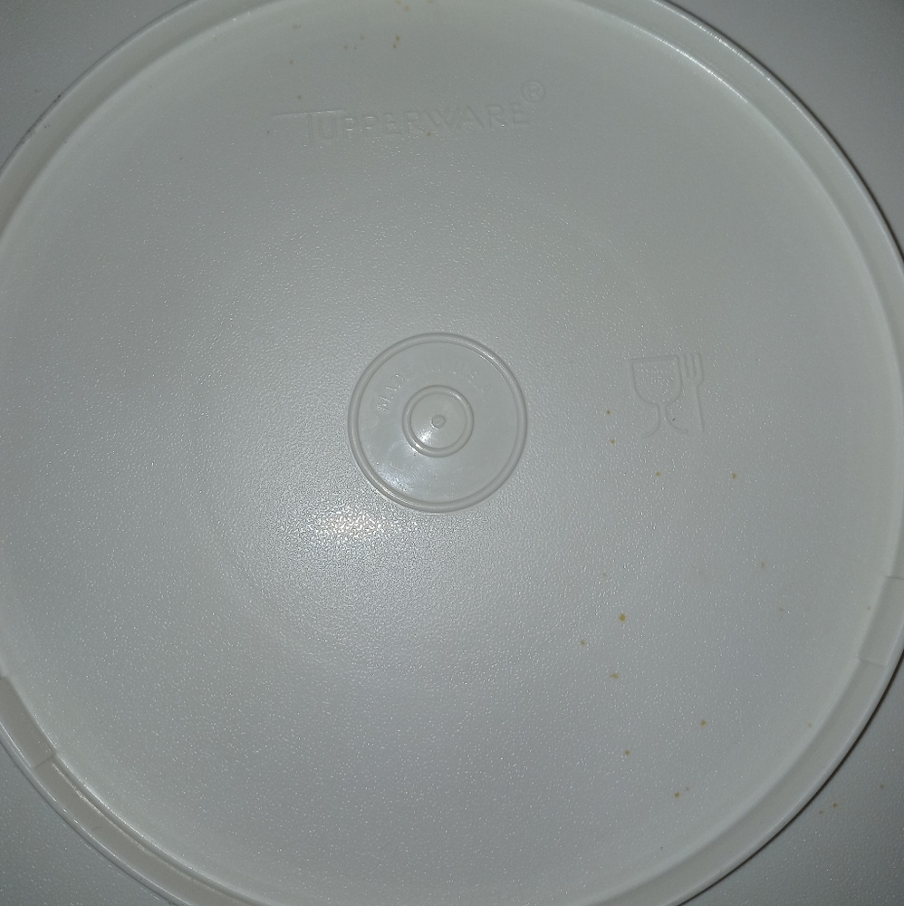 Tupperware veggie tray